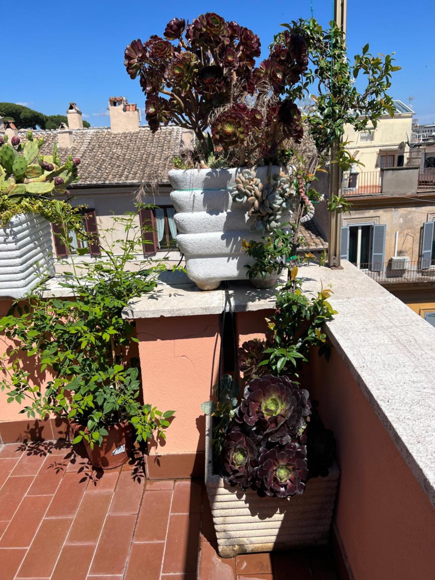 Spanish Steps Rome View Εξωτερικό φωτογραφία