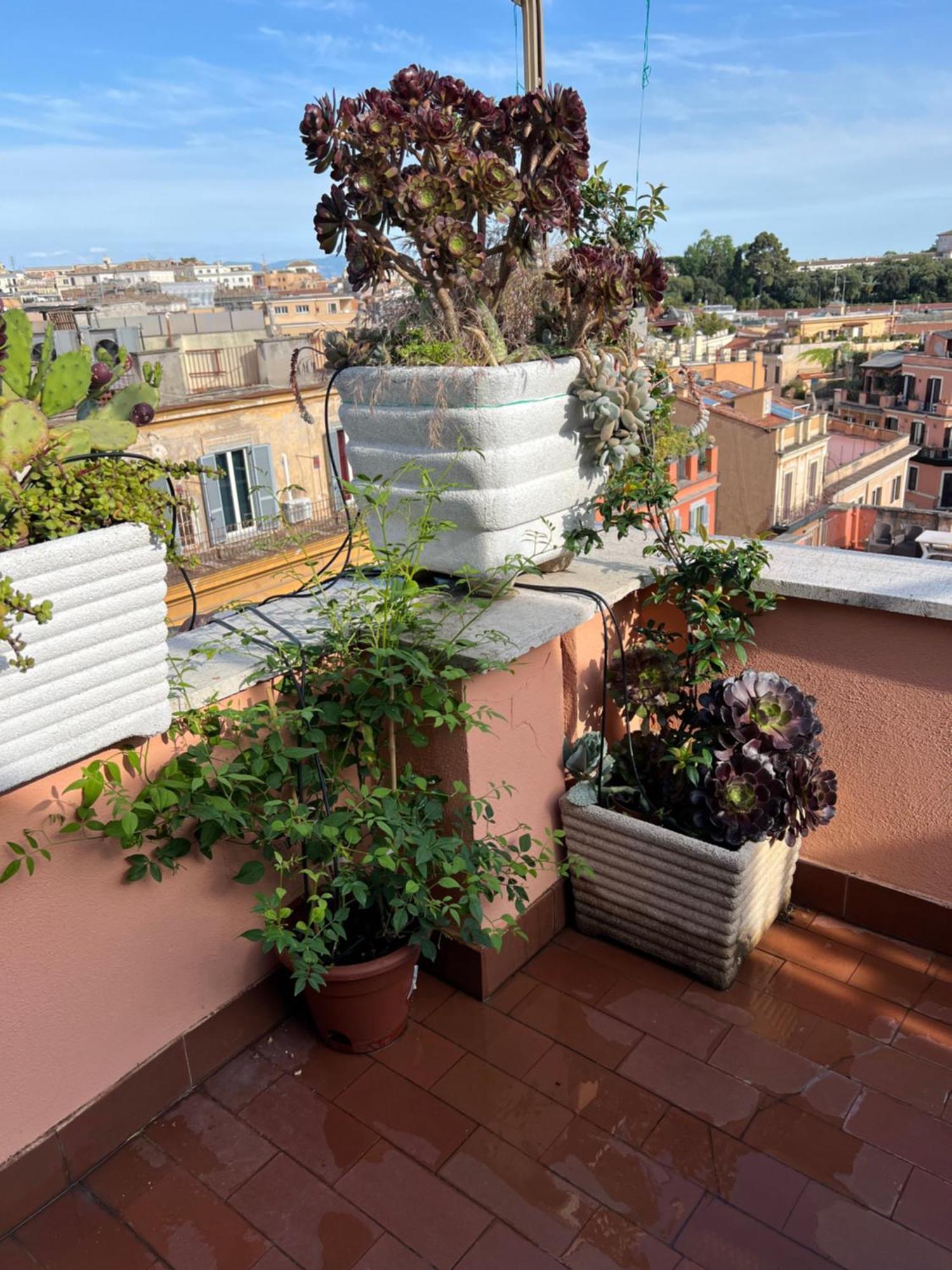 Spanish Steps Rome View Εξωτερικό φωτογραφία
